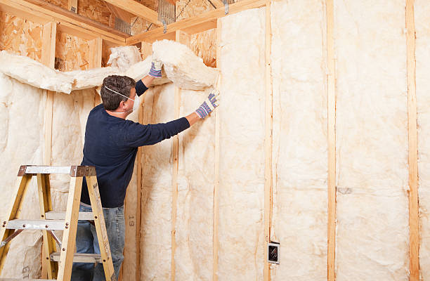 Professional Insulation Services in South Bend, IN